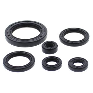 Honda TRX650 Rincon Engine Oil Seal Kit - Vertex Pistons - `03-`05